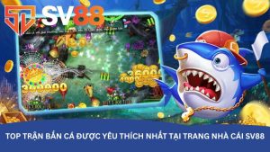 Top trận bắn cá được yêu thích nhất tại trang nhà cái SV88 Top trận bắn cá được yêu thích nhất tại trang nhà cái SV88