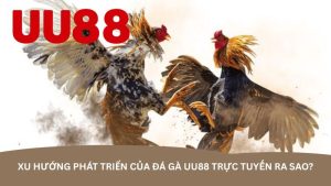 Xu hướng phát triển của đá gà UU88 trực tuyến ra sao? Xu hướng phát triển của đá gà UU88 trực tuyến ra sao?