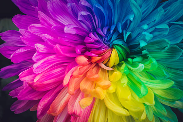 Ảnh Màu Và Truyền Cảm Hứng Sáng Tạo