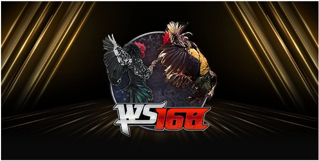 Cách tham gia cá cược đá gà an toàn