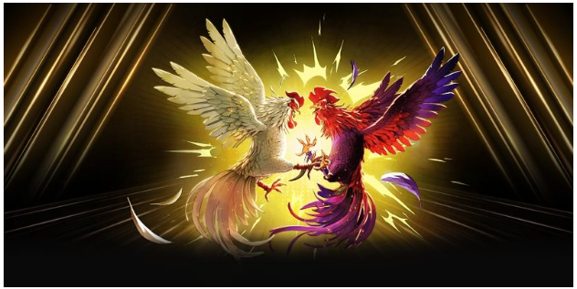 Lợi ích khi tham gia cá cược đá gà typhu88