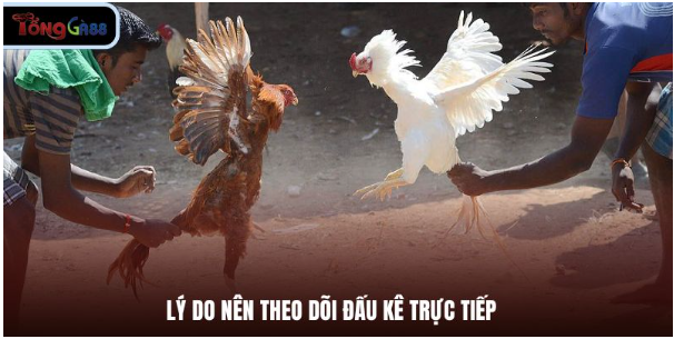 Lý do nên theo dõi đấu kê trực tiếp