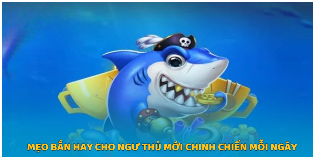 Mẹo bắn hay cho ngư thủ mới chinh chiến mỗi ngày