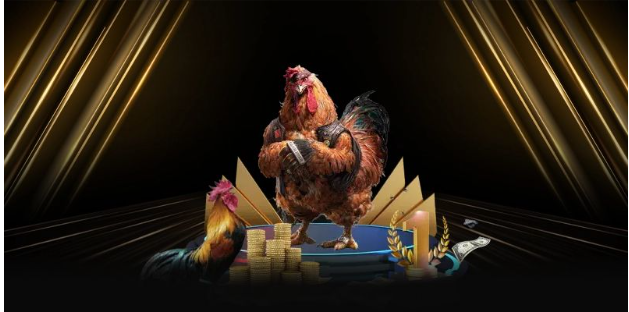 Sức hút của đá gà DEBET