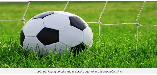 Ứng dụng thực chiến