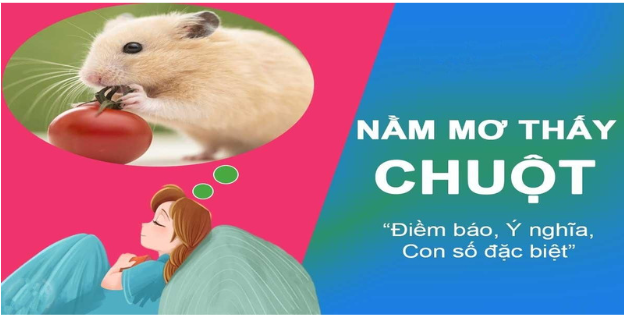 Ý nghĩa mơ thấy chuột đánh số gì Ý nghĩa mơ thấy chuột đánh số gì