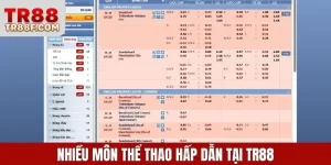 Tìm hiểu về thể thao tr88 – Hệ thống rõ ràng, theo dõi thuận tiện