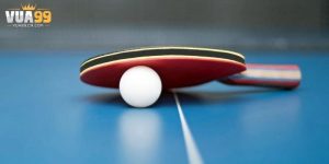 Những hình thức cá cược thể thao thú vị nhất 2026