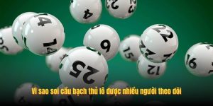 Vì sao soi cầu bạch thủ lô được nhiều người theo dõi