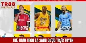 Các bộ môn thể thao – Phong phú, quen thuộc và dễ theo dõi
