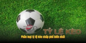 Phân loại tỷ lệ kèo chấp phổ biến nhất