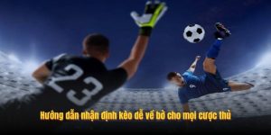 Hướng dẫn nhận định kèo dễ về bờ cho mọi cược thủ