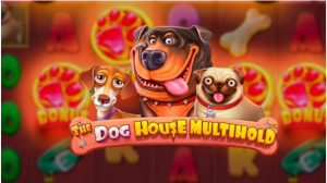 Giới thiệu tổng quan về slot nổ hũ The Dog House