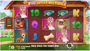 Phương pháp đặt cược thông minh khi tham gia The Dog House
