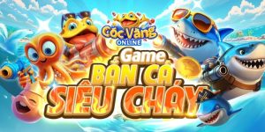 Nhận biết thời điểm Cóc Vàng xuất hiện Nhận biết thời điểm Cóc Vàng xuất hiện