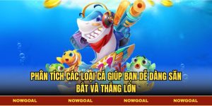 Phân tích các loại cá giúp bạn dễ dàng săn bắt và thắng lớn