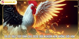 Nền tảng xem đá gà trực tiếp Daga88 dẫn đầu hiện nay Nền tảng xem đá gà trực tiếp Daga88 dẫn đầu hiện nay