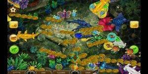 Học hỏi nhiều kinh nghiệm