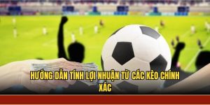 Hướng dẫn tính lợi nhuận từ các kèo chính xác