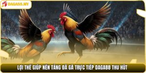 Lợi thế giúp nền tảng đá gà trực tiếp Daga88 thu hút Lợi thế giúp nền tảng đá gà trực tiếp Daga88 thu hút