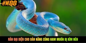 Rắn đại diện cho bản năng cùng ham muốn bị kìm nén Rắn đại diện cho bản năng cùng ham muốn bị kìm nén