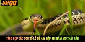 Tổng hợp các con số lô đề hay gặp khi nằm mơ thấy rắn Tổng hợp các con số lô đề hay gặp khi nằm mơ thấy rắn