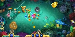 Quản lý vốn siêu chất