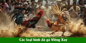 Các loại hình đá gà Viêng Xay