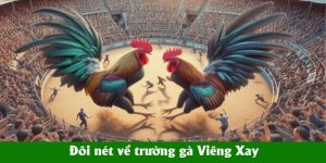 Đôi nét về trường gà Viêng Xay