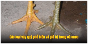 Các loại vảy quý phổ biến và giá trị trong cá cược Các loại vảy quý phổ biến và giá trị trong cá cược