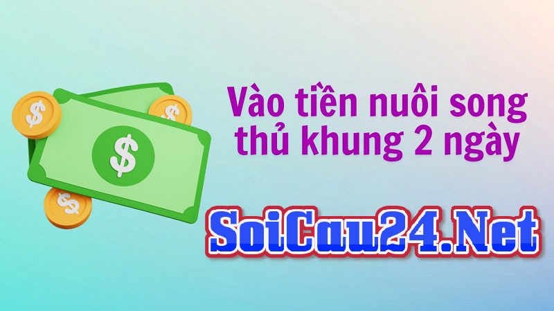 Cách vào tiền nuôi lô song thủ 2 ngày