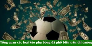 Tổng quan các loại kèo phụ bóng đá phổ biến trên thị trường Tổng quan các loại kèo phụ bóng đá phổ biến trên thị trường