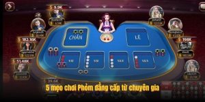 5 mẹo chơi Phỏm đẳng cấp từ chuyên gia 5 mẹo chơi Phỏm đẳng cấp từ chuyên gia