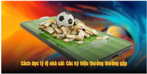 Cách đọc tỷ lệ nhà cái: Các ký hiệu thưởng thường gặp Cách đọc tỷ lệ nhà cái: Các ký hiệu thưởng thường gặp