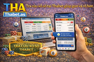 Những thông tin người chơi thường quan tâm khi tra cứu xổ số Những thông tin người chơi thường quan tâm khi tra cứu xổ số