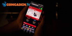 Bạn theo dõi các trận đấu gà chọi thông qua livestream Bạn theo dõi các trận đấu gà chọi thông qua livestream