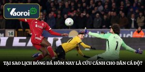 Tại sao lịch bóng đá hôm nay là cứu cánh cho dân cá độ? Tại sao lịch bóng đá hôm nay là cứu cánh cho dân cá độ?