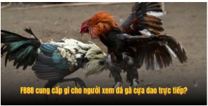 8kbet cung cấp gì cho người xem đá gà cựa dao trực tiếp? 8kbet cung cấp gì cho người xem đá gà cựa dao trực tiếp?