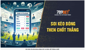 Cách Tiếp Cận Thể Thao 789BET