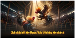 Cách nhận biết kèo Meron/Wala trên bảng kèo nhà cái