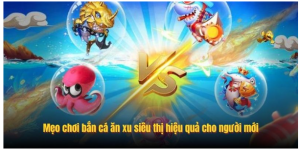 Mẹo chơi bắn cá ăn xu siêu thị hiệu quả cho người mới
