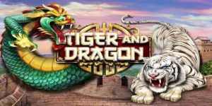 Hình thái biểu đồ hiển thị xu hướng sòng bài