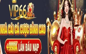 Những Đặc Quyền Độc Nhất Chỉ Có Tại VIP66 Những Đặc Quyền Độc Nhất Chỉ Có Tại VIP66