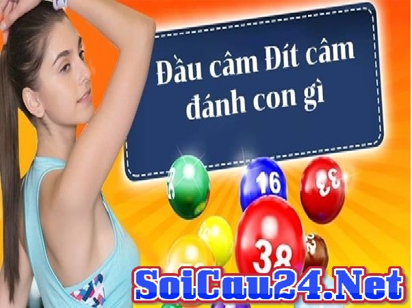 Cách áp dụng soi cầu đầu đuôi câm XSMB