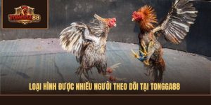 Loại hình được nhiều người theo dõi tại TONGGA88