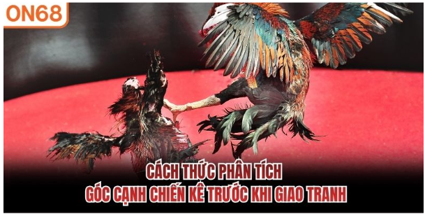quan sát và giới hạn kỳ vọng