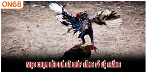 trách nhiệm và thói quen theo dõi