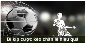 Cao thủ bật mí cách cược Odd/Even hiệu quả Cao thủ bật mí cách cược Odd/Even hiệu quả
