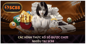 Phương pháp theo dõi