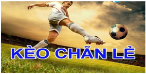 Quy định chơi kèo chẵn lẻ người mới cần biết Quy định chơi kèo chẵn lẻ người mới cần biết